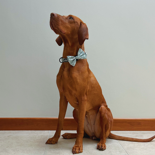 Floral Green - Bow Tie