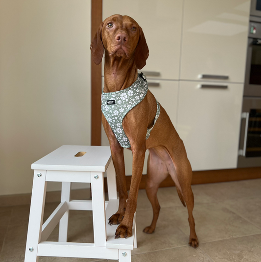 Floral Green - adjustable harness