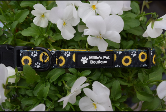Yellow Sunflowers - Collar