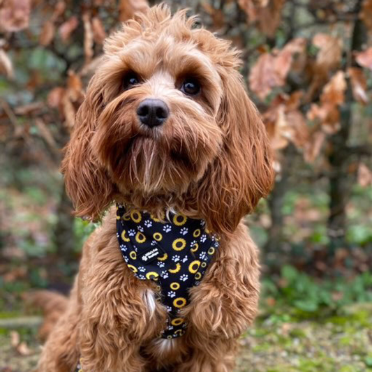 Yellow Sunflowers - Bandana