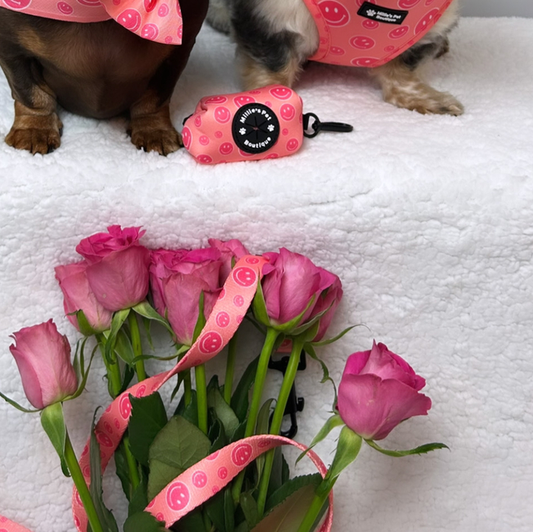 Smiley Paws - Poo Bag Holder