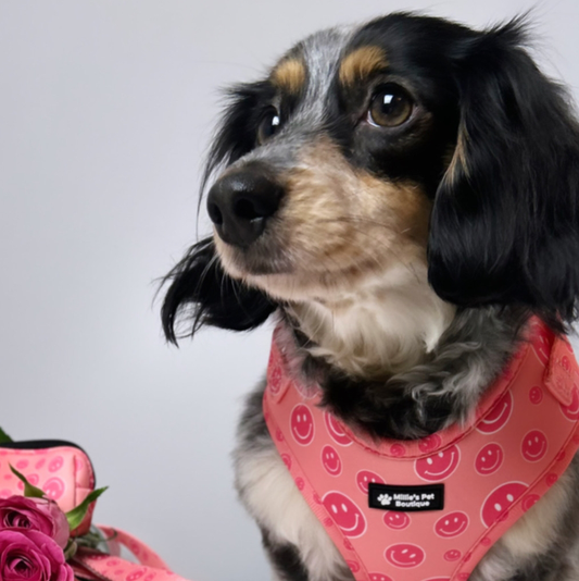 Smiley Paws - Adjustable Harness