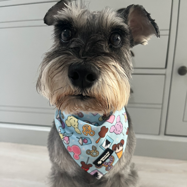 Doggy Blues - Bandana