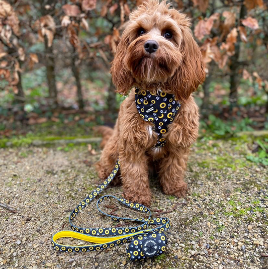 Yellow Sunflowers - adjustable harness